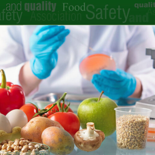 Food Safety Laws And Responsibilities