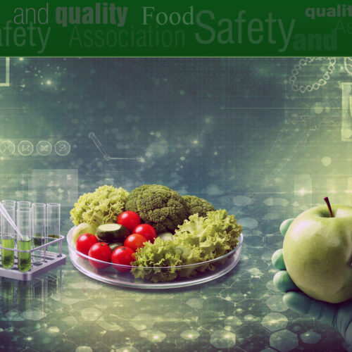 Advanced Food Testing: Ensuring Food Quality, Safety, and Authenticity