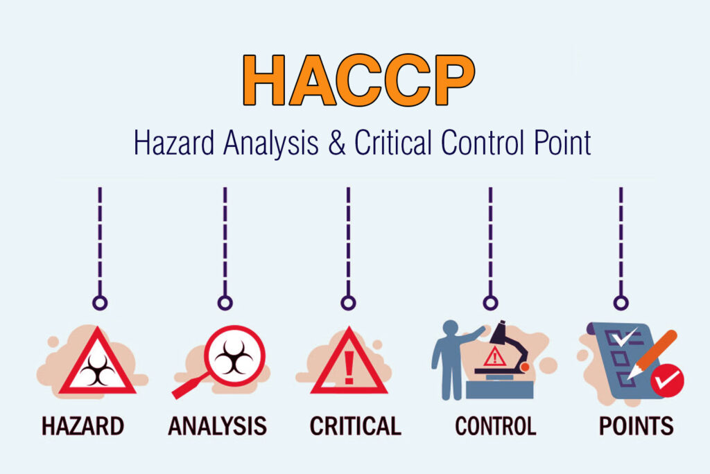 Understanding HACCP: The Cornerstone of Modern Food Safety