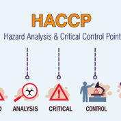 Understanding HACCP: The Cornerstone of Modern Food Safety