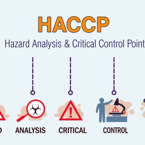 Understanding HACCP: The Cornerstone of Modern Food Safety