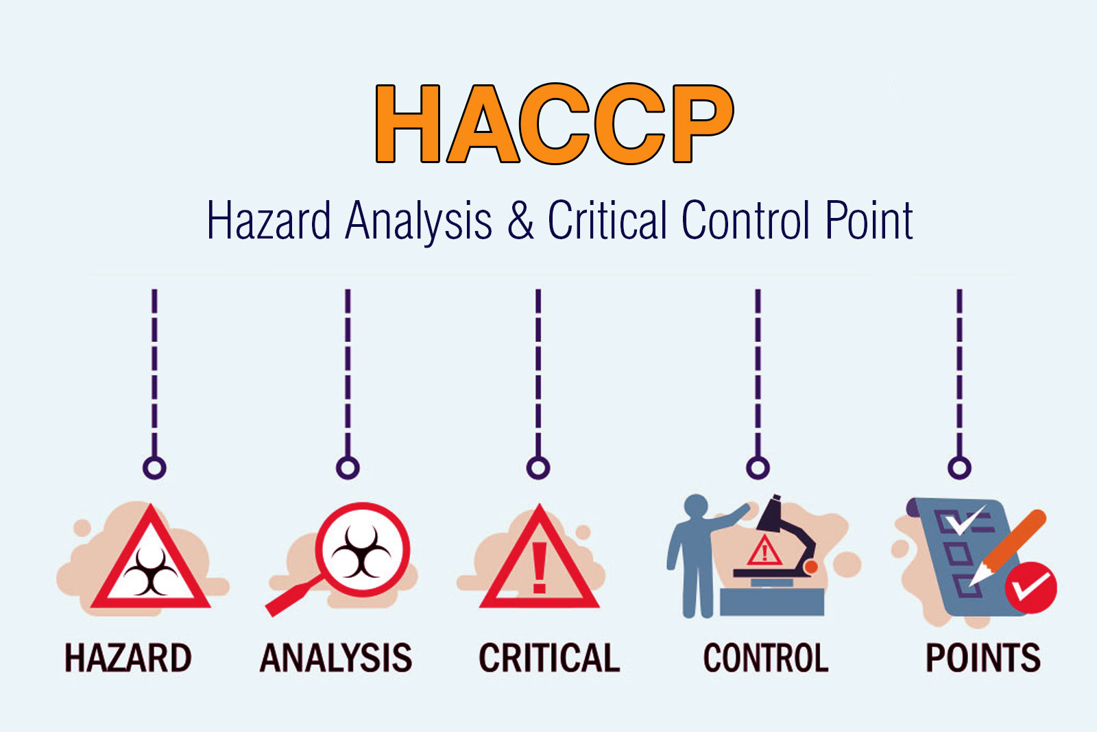 Understanding HACCP: The Cornerstone of Modern Food Safety